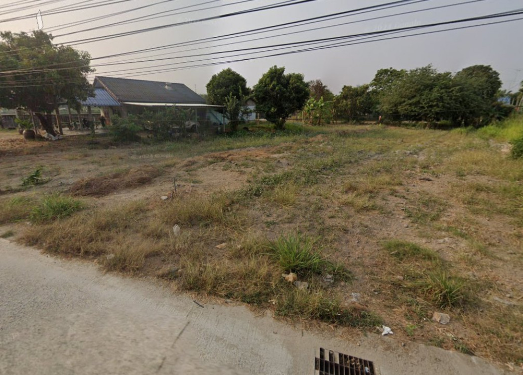 ขายที่ดินคลองกิ่ว 204 ตรว. ติดถนนคอนกรีตซอยบึงไม้แก่น ใกล้แยกหัวกุญแจ - 2.4 กม. อ.บ้านบึง ชลบุรี รูปที่ 6