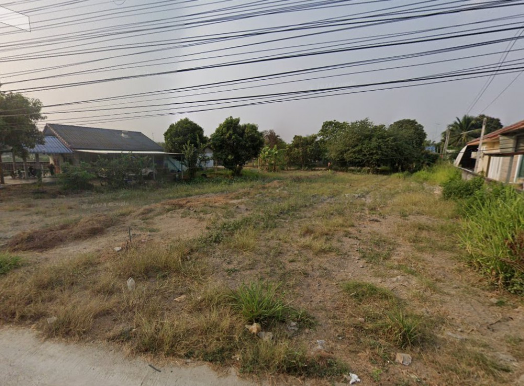 ขายที่ดินคลองกิ่ว 204 ตรว. ติดถนนคอนกรีตซอยบึงไม้แก่น ใกล้แยกหัวกุญแจ - 2.4 กม. อ.บ้านบึง ชลบุรี รูปที่ 5