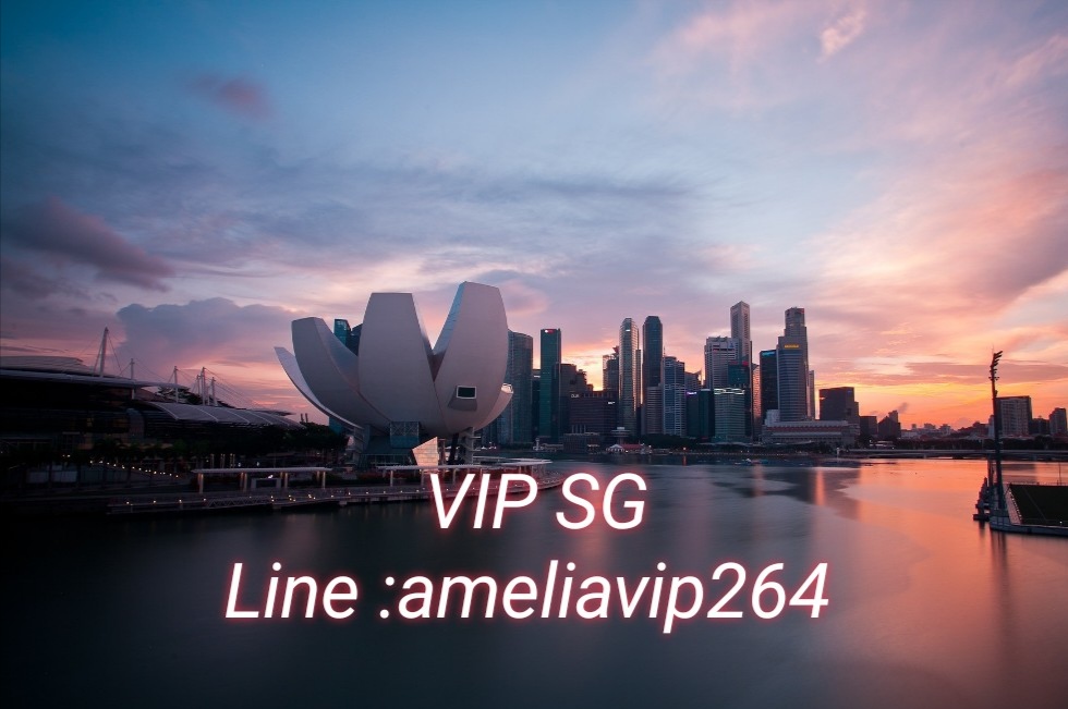 งาน​ VIP SG สิงคโปร์​++  ทั่วโลก​ กับ​ ameliavip264  รูปที่ 7
