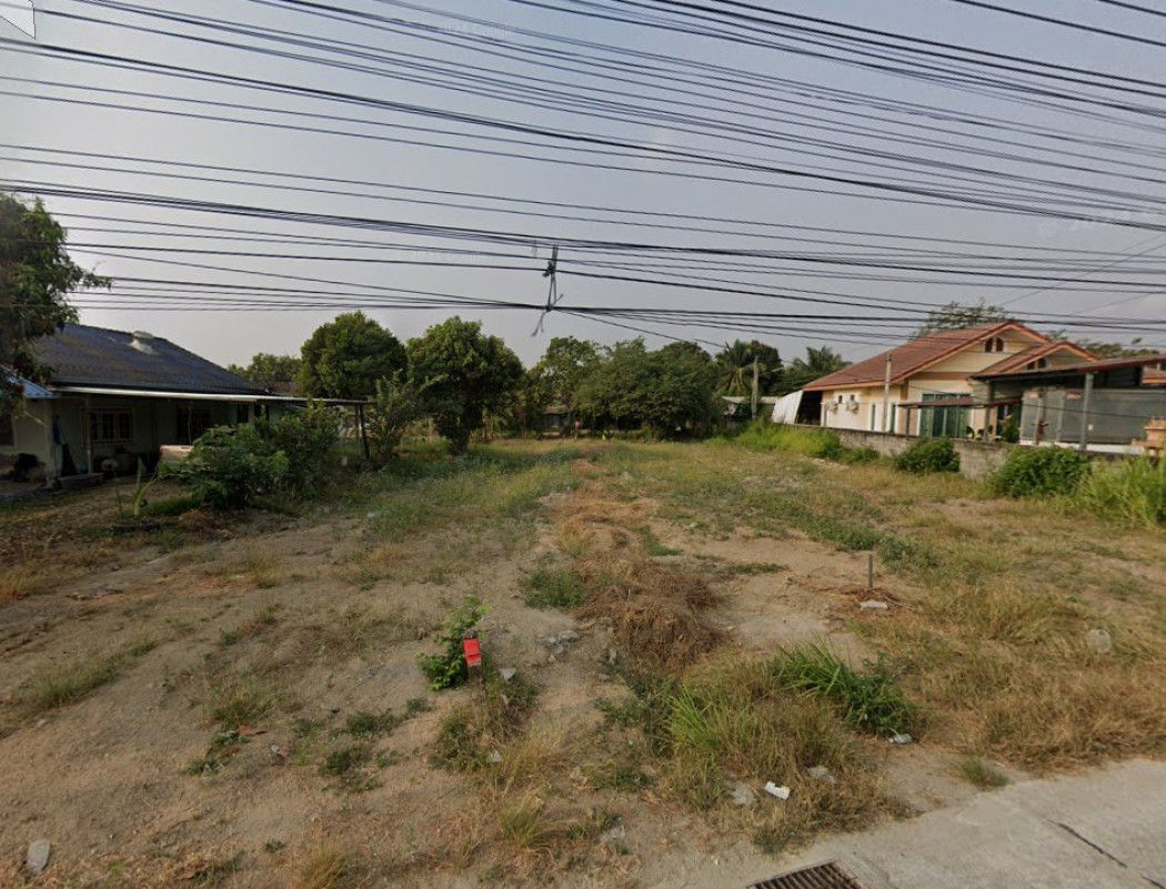 ขายที่ดินคลองกิ่ว 204 ตรว. ติดถนนคอนกรีตซอยบึงไม้แก่น ใกล้แยกหัวกุญแจ - 2.4 กม. อ.บ้านบึง ชลบุรี รูปที่ 4