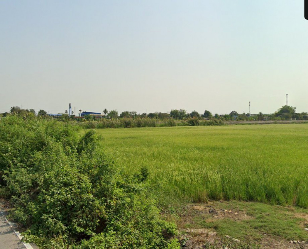 ขายที่ดินบางเลน บัวปากท่า 15 ไร่ ติดคลอง ติดถนนลาดยางซอยบ้านหนองปรง ใกล้ถนนเส้น3422 - 500 เมตร จ.นครปฐม รูปที่ 6