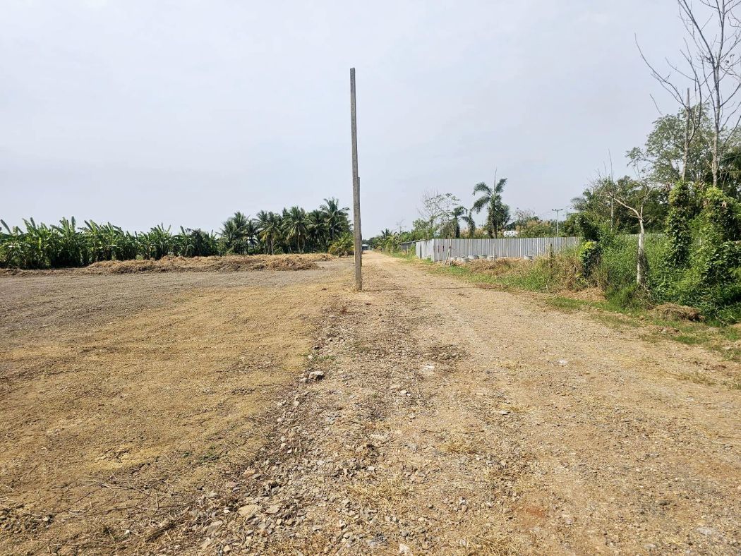 ขาย ที่ดิน แปลงสวย เลียบคลอง8 6 ไร่ ต.บึงบอน หนองเสือ ปทุมธานี รูปที่ 5