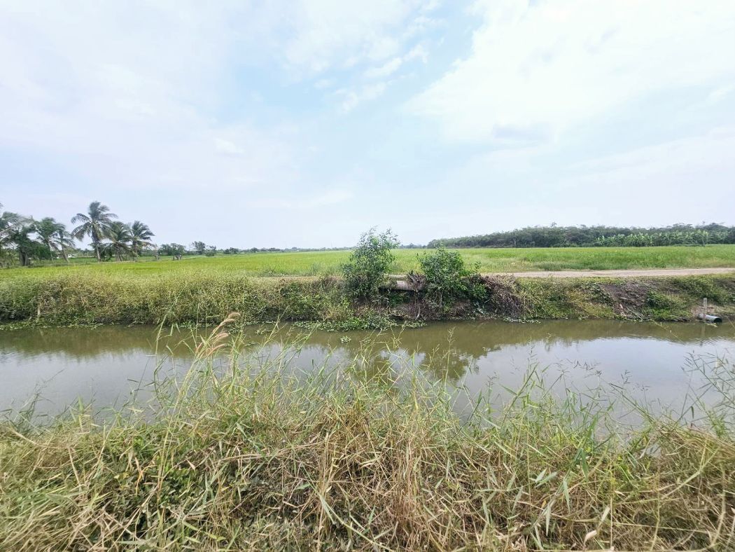 ขาย ที่ดิน แปลงสวย เลียบคลอง8 6 ไร่ ต.บึงบอน หนองเสือ ปทุมธานี รูปที่ 3