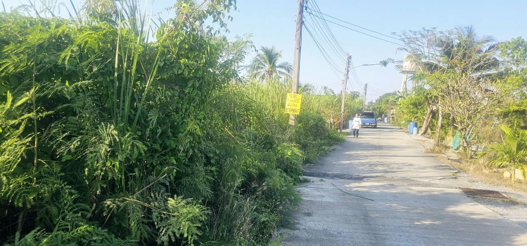 ขาย ที่ดิน ติดแหล่งน้ำ บรรยากาศดี 104 ตร.วา ต.ขุนแก้ว นครชัยศรี นครปฐม รูปที่ 4