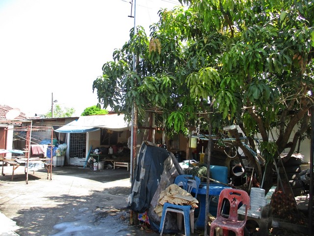 ขายบ้านพร้อมที่ดิน   อุทัย  พระนครศรีอยุธยา (PAP-4-0437 ) รูปที่ 1