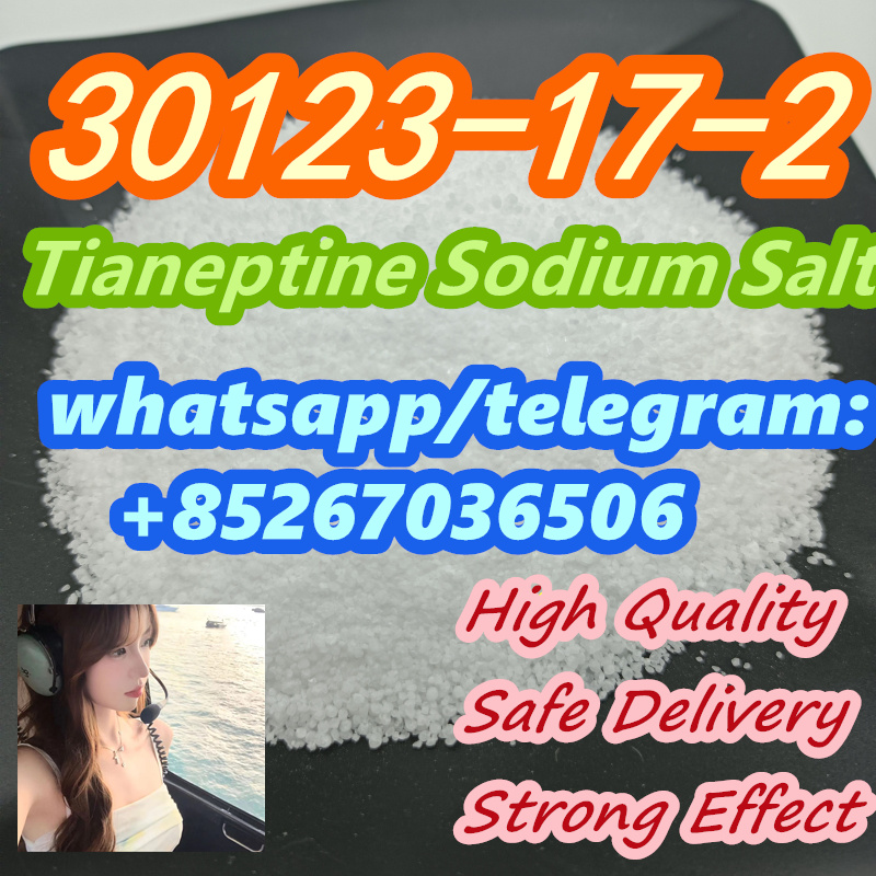 Hot Sale  30123-17-2 Tianeptine Sodium Salt รูปที่ 1