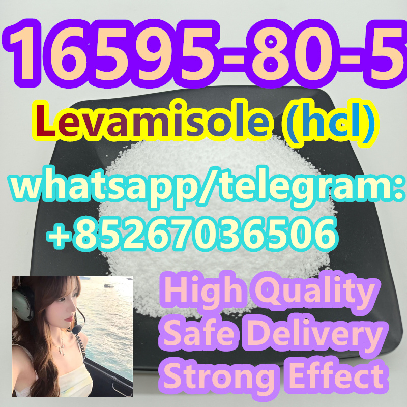 Top Grade 16595-80-5 Levamisole (hcl) รูปที่ 1