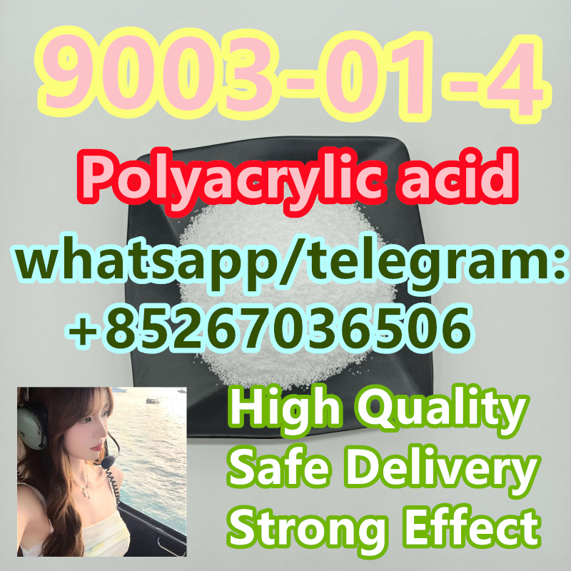 Raw Materials 9003-01-4 Polyacrylic acid รูปที่ 1