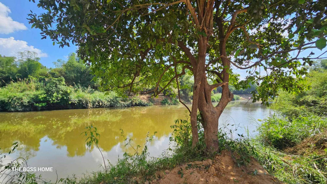 ขายที่ดินเมืองเก่า ซอยบ้านไผ่ ติดแม่น้ำพระปรงวิวสวย เนื้อที่ 1 ไร่ ติดถนนลาดยางถมสูงใกล้แยกสามทหาร 3 กม. อ.กบินทร์บุรี ปราจีนบุรี รูปที่ 2