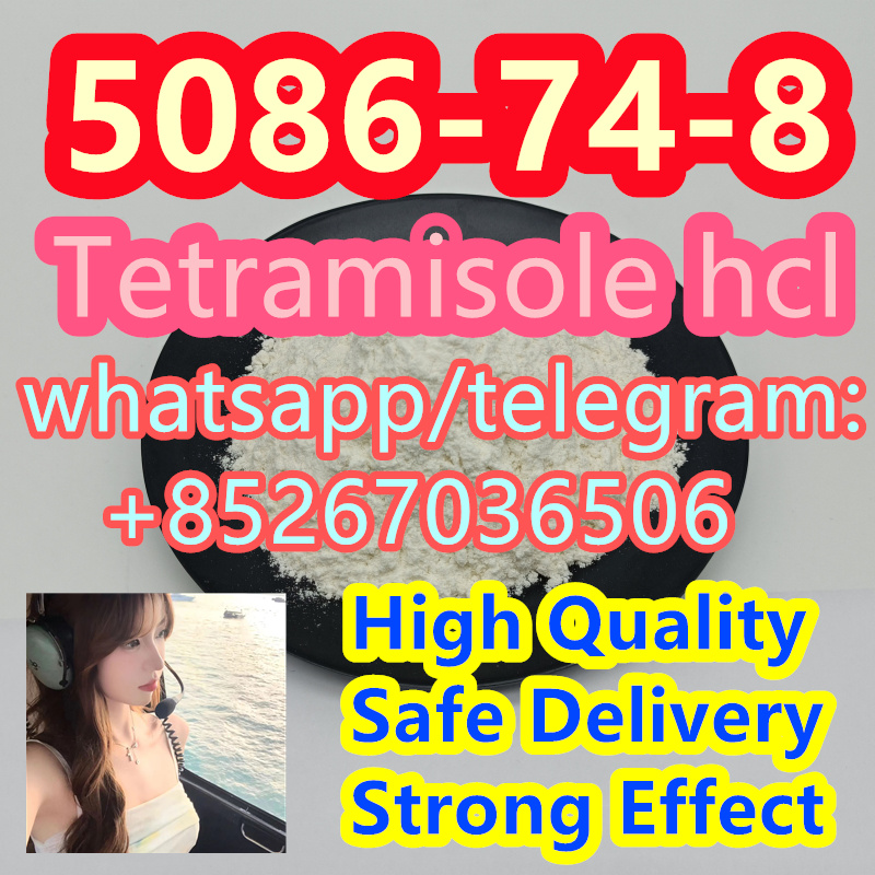 Sample Available 5086-74-8 Tetramisole hcl รูปที่ 1