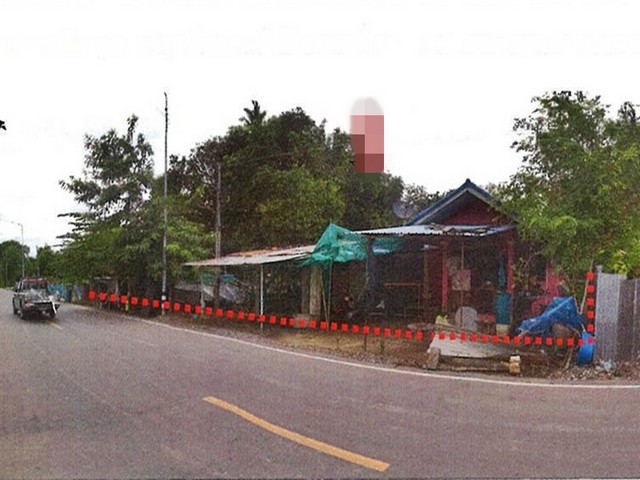 ขายบ้านพร้อมที่ดิน   เมืองพิจิตร พิจิตร  (PAP-1-0448) รูปที่ 1