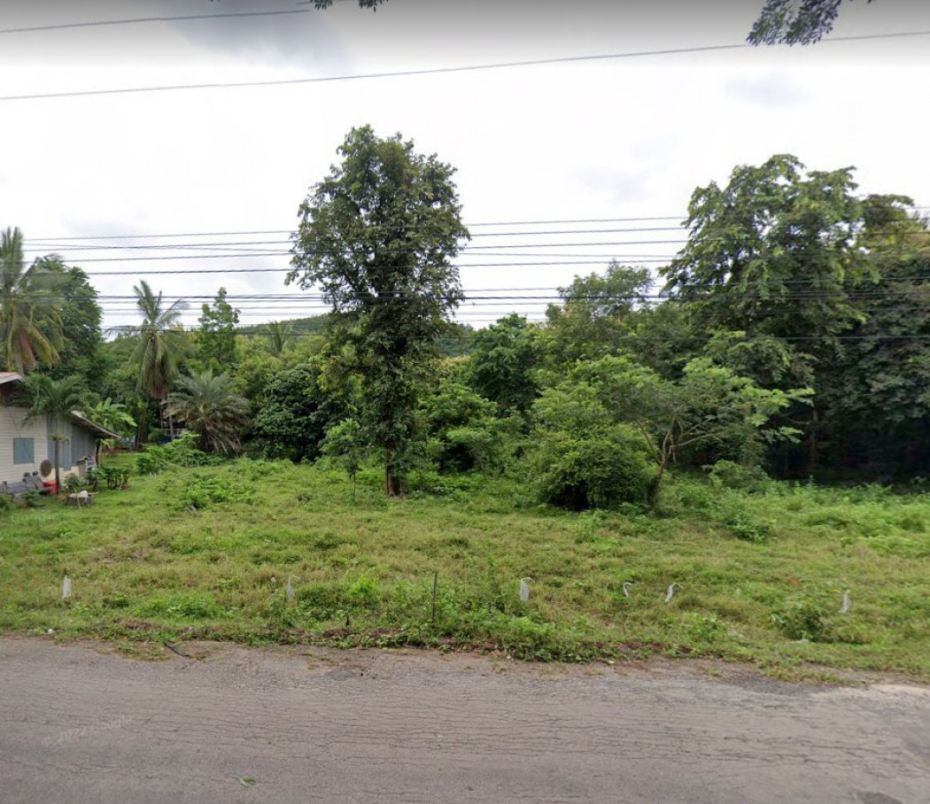 ขายที่ดินติดวิวเขา 17 ไร่พร้อมสวนต้นสักจำนวน1,000กว่าต้น ติดถนนทางหลวงบ้านน้ำดำ ใกล้อ่างเก็บน้ำห้วยส้มเค้ม3กม. เมืองพิษณุโลก รูปที่ 2