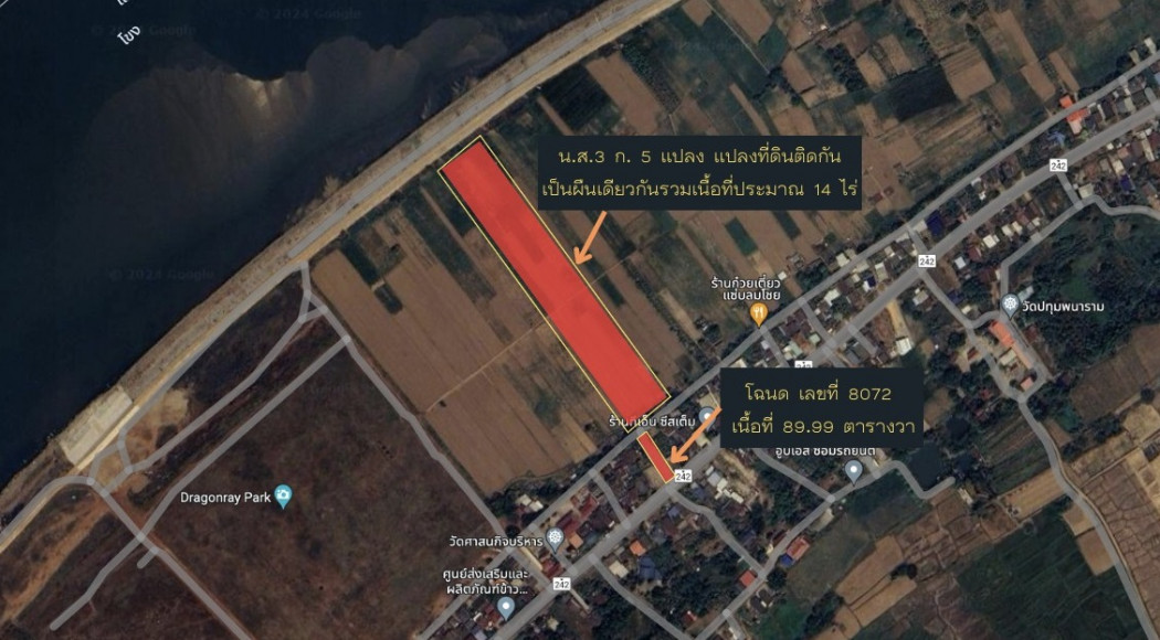 ขาย ที่ดิน แปลงใหญ่ ติดแม่น้ำโขง 14 ไร่ 1 งาน 86.9 ตร.วา รูปที่ 2