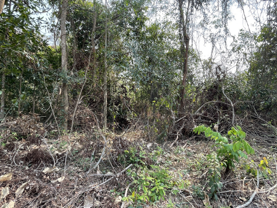 ขาย ที่ดิน ห่างจาก ถ.รอบเมืองอุดรธานี ประมาณ 1.5 กม. 2 ไร่ 1 งาน 50 ตร.วา รูปที่ 4