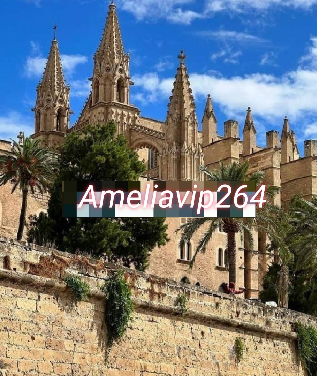 งาน​วีไอพี​ต่างประเทศ​  กับ​ ameliavip264  รูปที่ 5