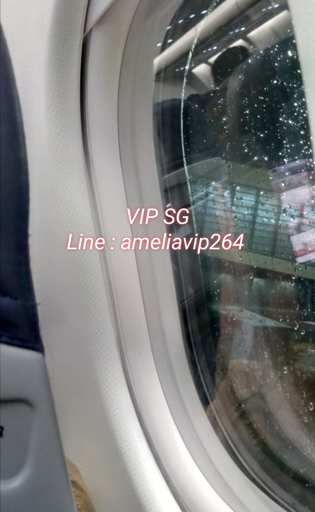 งาน​วีไอพี​ต่างประเทศ​  กับ​ ameliavip264  รูปที่ 3
