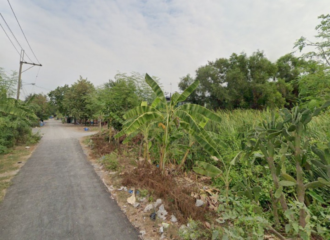 ขาย ที่ดิน ซอยสายไหม 57 ขนาด 66 ตร.วา ใกล้ถ.สายไหมแค่ 450 ม. ใกล้รถไฟฟ้าคูคต เหมาะสร้างบ้าน รูปที่ 5