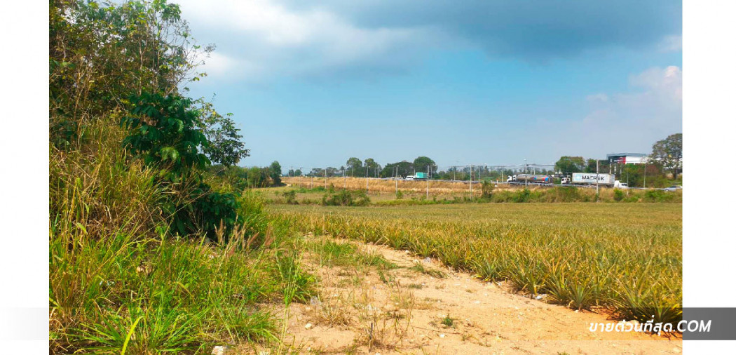 ขายที่ดิน 29 ไร่ 2 งาน 5 ตร.ว. ติดถนนหมายเลข 36 ใกล้ ม.ธรรมศาสตร์ ศูนย์พัทยา รูปที่ 4