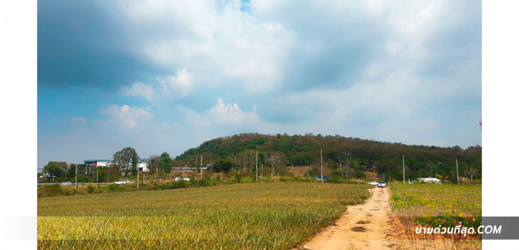 ขายที่ดิน 29 ไร่ 2 งาน 5 ตร.ว. ติดถนนหมายเลข 36 ใกล้ ม.ธรรมศาสตร์ ศูนย์พัทยา รูปที่ 6