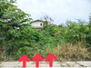 รูปย่อ ขาย ที่ดิน บางบัวทอง 100 ตารางวา ถนนบางกรวย-ไทรน้อย นนทบุรี 1.4 ล้านบาท ฟรี โอน  ID-13820 รูปที่5