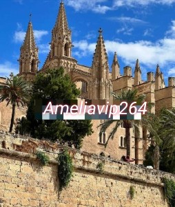 งาน​วีไอพี​ต่างประเทศ​ทั่วโลก ameliavip264  รูปที่ 3