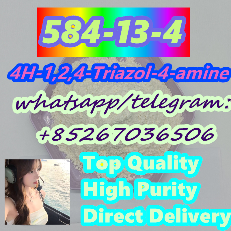 Excellent Effect 584-13-4 4H-1,2,4-Triazol-4-amine รูปที่ 1