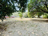 รูปย่อ ขาย ที่ดิน หน้าสวน Nantawan Ramintra-Watcharaphon : นันทวัน รามอินทรา-วัชรพล เนื้อที่ 1 งาน 37 ตร.วา หมู่บ้านน่าอยู่ รูปที่6