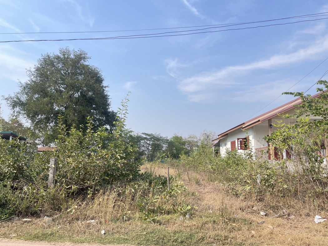 ขาย ที่ดิน ใกล้ทะเลบัวแดง 100 ตร.วา หน้ากว้างประมาณ 12 ม. รูปที่ 3