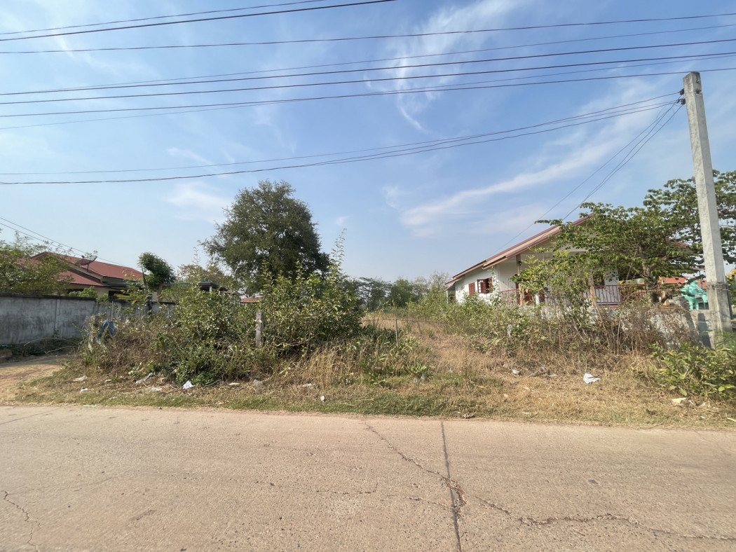 ขาย ที่ดิน ใกล้ทะเลบัวแดง 100 ตร.วา หน้ากว้างประมาณ 12 ม. รูปที่ 2
