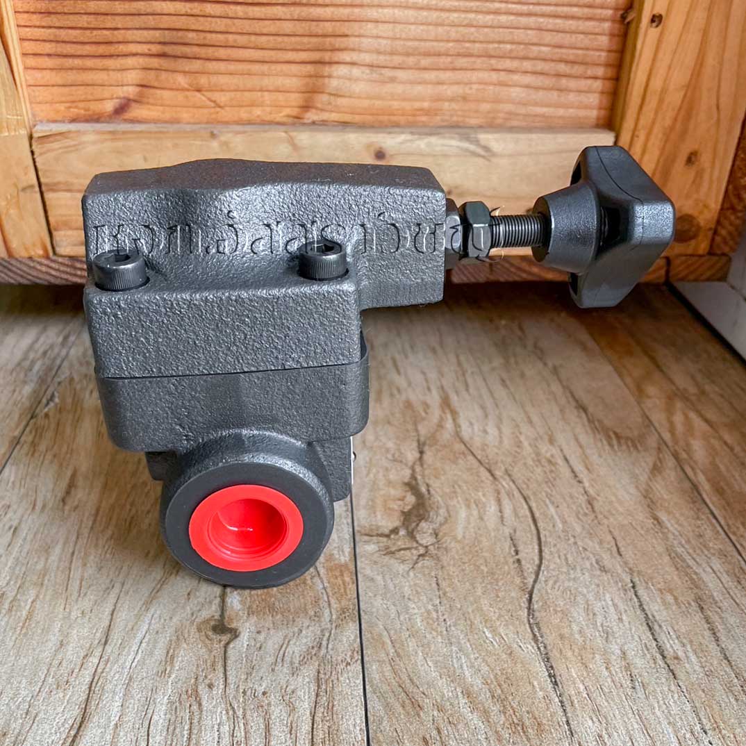 รีลีฟวาล์วไฮดรอลิค (Relief Valve) JeouGang Hydraulics รุ่น RV Series รูปที่ 2