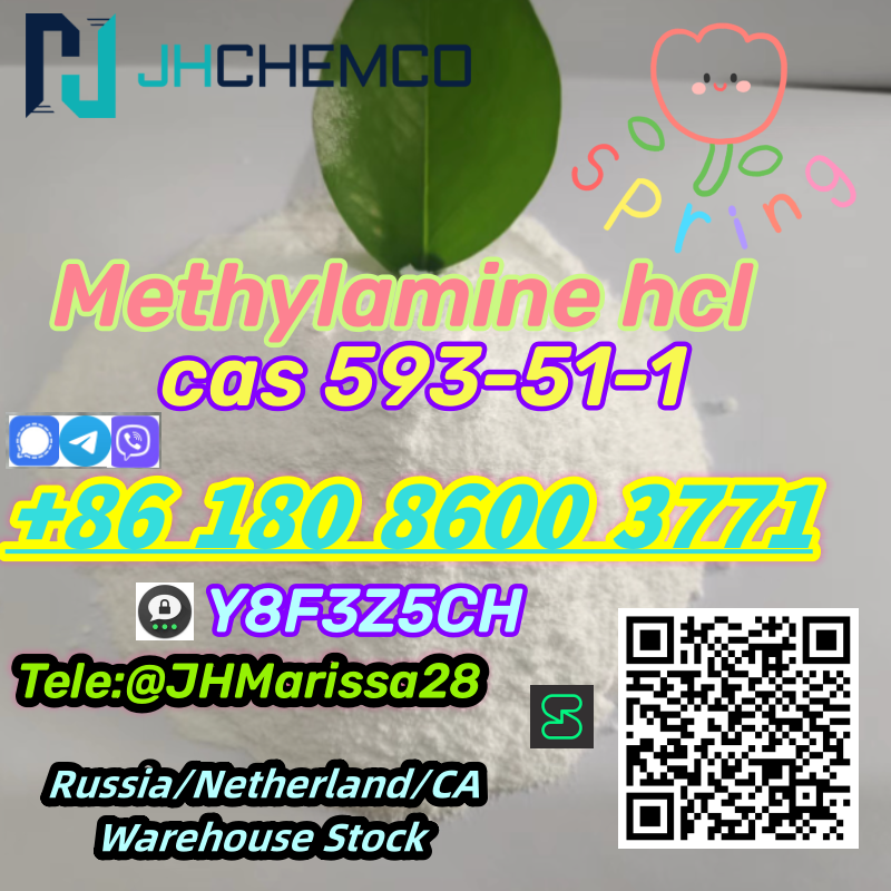 Perfect Sale CAS 593-51-1 Methylamine hydrochloride   Threema: Y8F3Z5CH		 รูปที่ 1