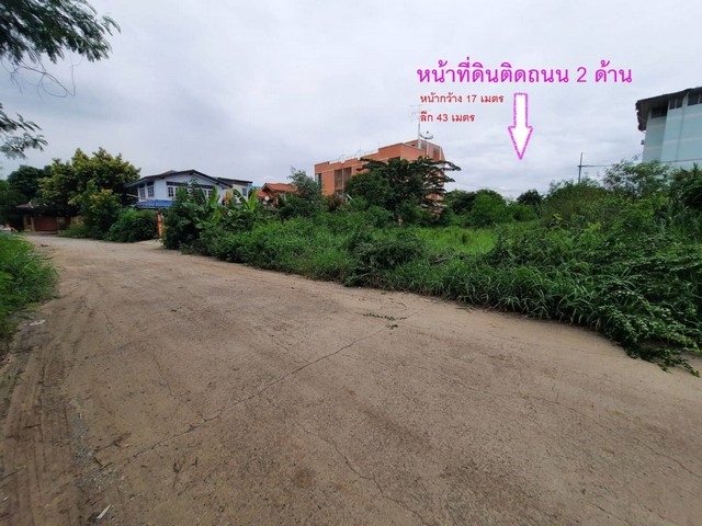 ขายที่ดินลำตาเสาใกล้ตลาดสี่ขวาพัฒนาเพียง 150 เมตร เหมาะทำหอพัก รูปที่ 1