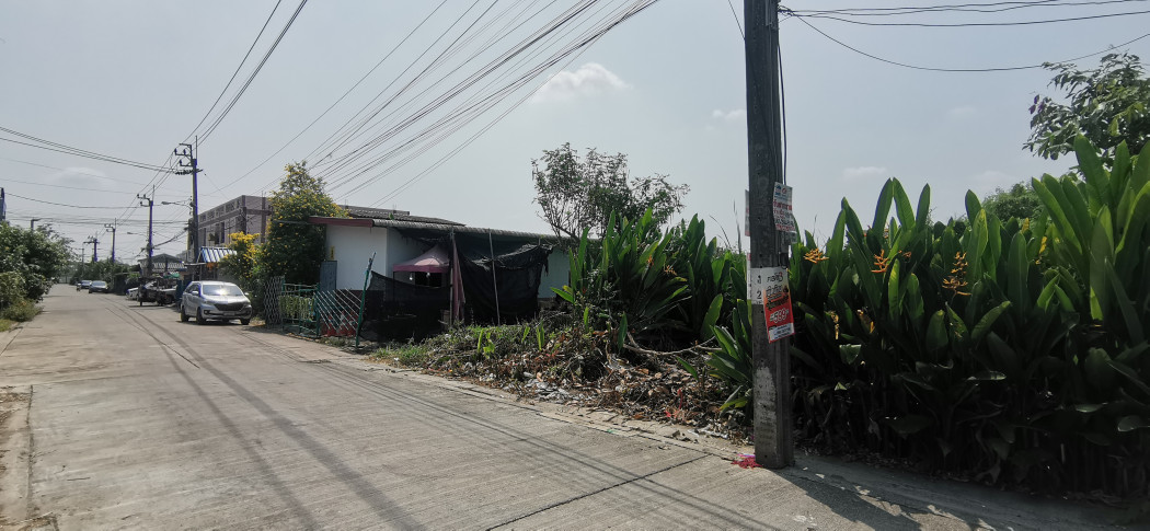 ขายที่ดิน 81.5 ตรว. ทวีวัฒนา ทำเลดี เดินทางสะดวก ใกล้ถนนหลายสาย รูปที่ 3