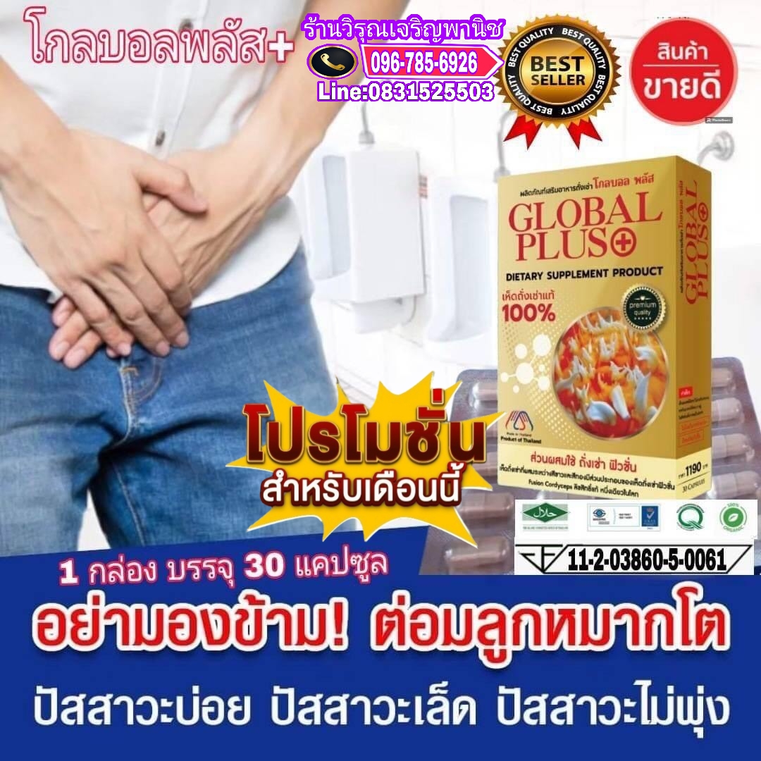 ถั่งเช่าโกลบอลพลัส รูปที่ 6