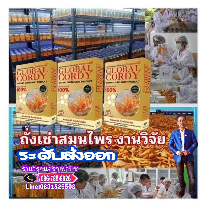 ถั่งเช่าโกลบอลพลัส รูปที่ 4