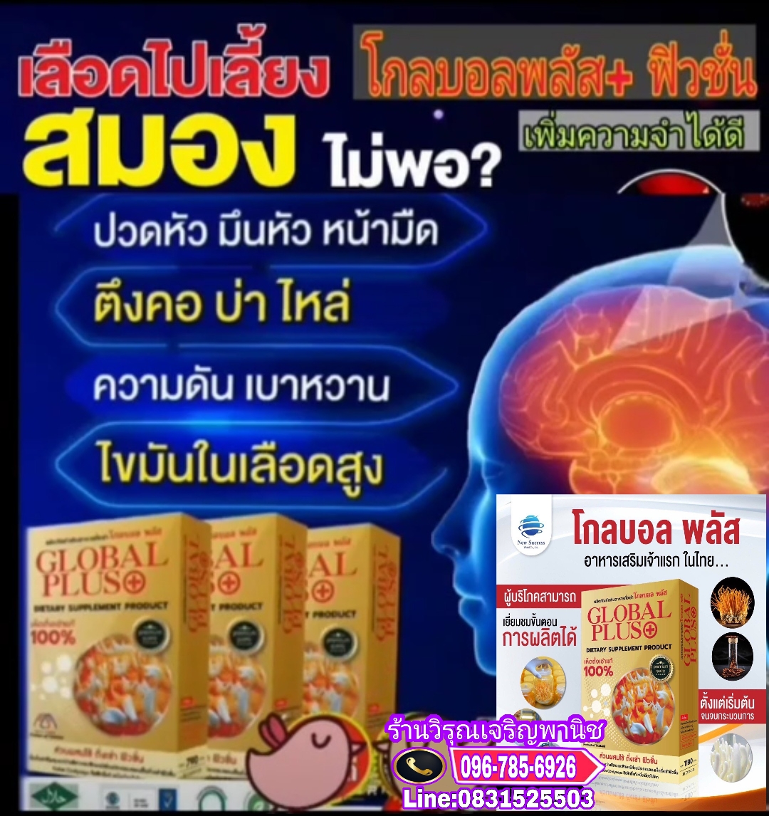 ถั่งเช่าโกลบอลพลัส รูปที่ 5