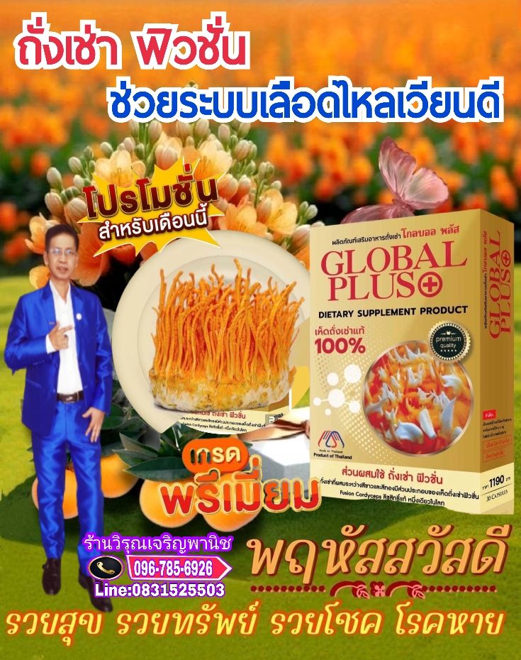 ถั่งเช่าโกลบอลพลัส รูปที่ 3