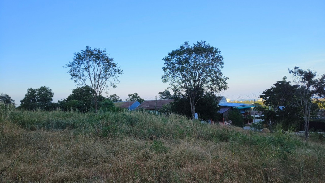 ขาย ที่ดิน ขาย ที่ดินสวย บนเนินเขา รับวิวทะเล - 3 ไร่ 1 งาน 41 ตร.วา รูปที่ 11