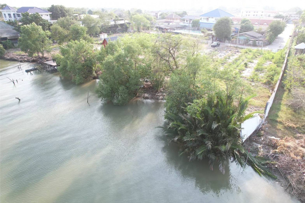 ขายที่ดินท่าสะอ้าน 1 ไร่ ทรงสี่เหลี่ยมสวยติดแม่น้ำบางปะกงติดถนนซอยท่าไข่ 5 ใกล้ถ.สิริโสธร314 - 350 เมตร อ.บางปะกง จ.ฉะเชิงเทรา รูปที่ 11