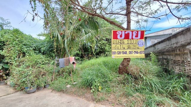 ขายด่วนที่ดิน 110 ตารางวา ราคาถูก อยู่ในชุมชนหนองแวงตราชู2   ต.ในเมือง จ.ขอนแก่น  ZE557 รูปที่ 1