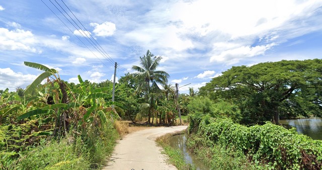 ขายที่ดิน 3-2-56 ไร่ เท่าราคาประเมิน ห่างจากถนนหลัก HWY1008 เพียง 450 เมตร เหมาะสร้างบ้าน พร้อมพื้นที่ทำเกษตร อ.สารภี จ.เชียงใหม่ รูปที่ 1