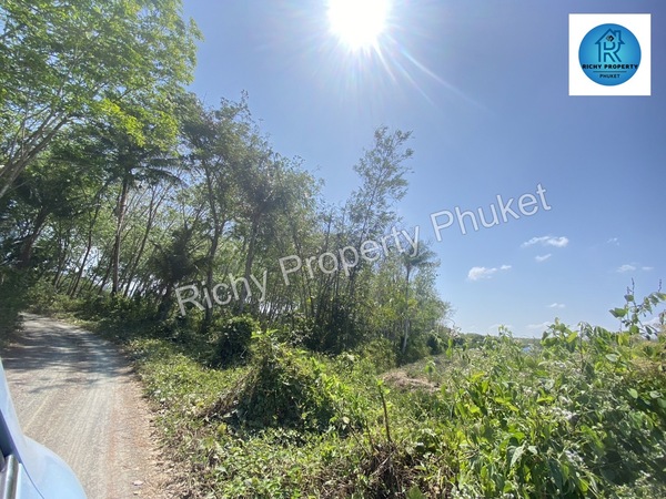 Land for Sale ขายที่ดินใกล้สนามบินภูเก็ต พิกัด : โซนสนามบินภูเก็ต รูปที่ 1