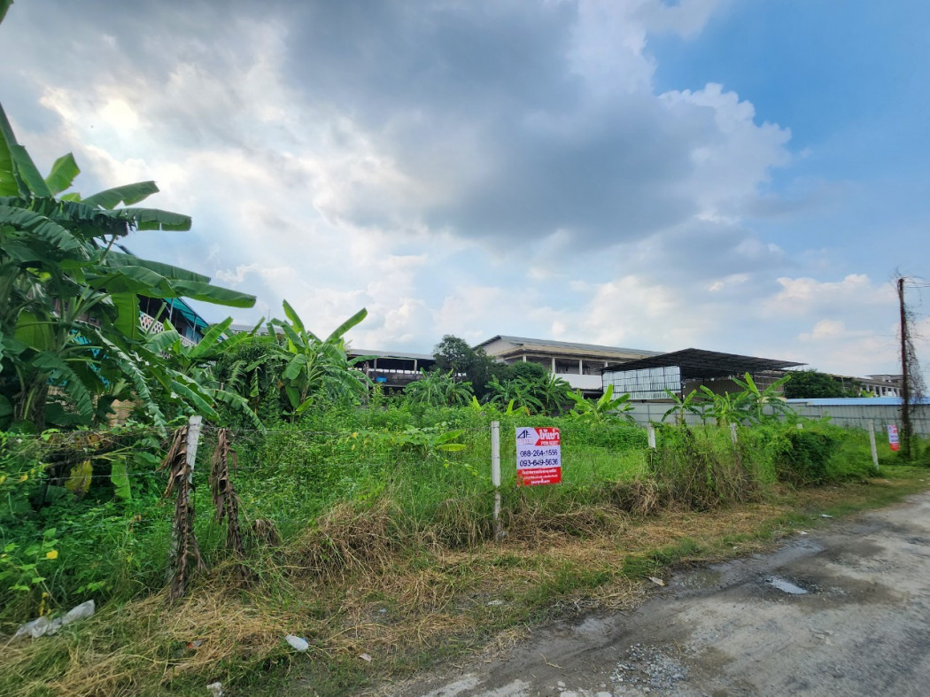 ให้เช่า ที่ดิน สี่เหลี่ยมผืนผ้า ถมแล้ว ที่ดิน 334.4 ตร.วา รูปที่ 2