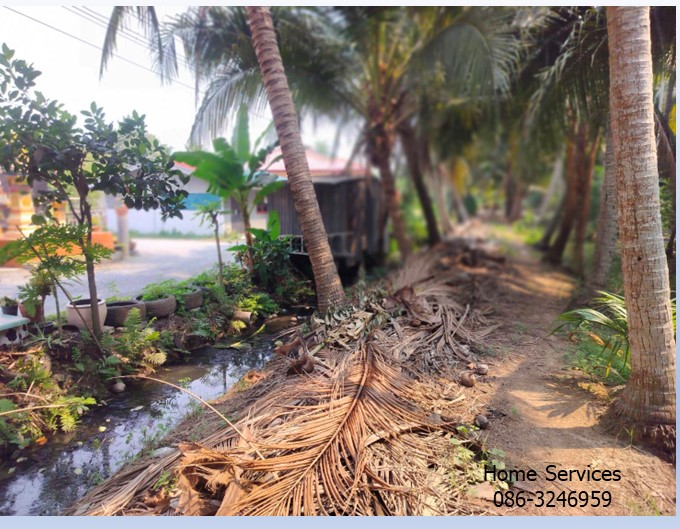 ขายที่ดินสวน 3 ไร่ ถนนทรงคนอง–ไร่ขิง นครปฐม ใกล้ถนนบรมราชชนนี เหมาะทำ ที่พักอาศัย บ้านพักคนชรา โฮมสเตย์ รูปที่ 5