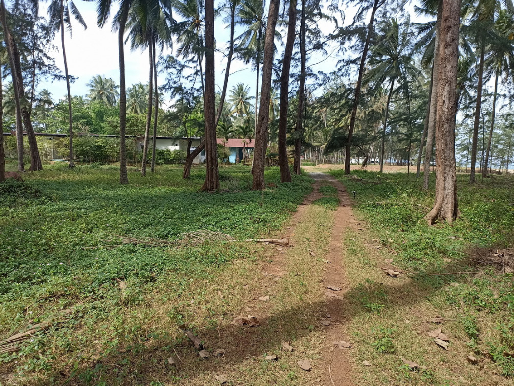 ขาย ที่ดิน - 1 ไร่ 82.8 ตร.วา ติดถนนสาธารณะประโยชน์ 2 ด้าน รูปที่ 2