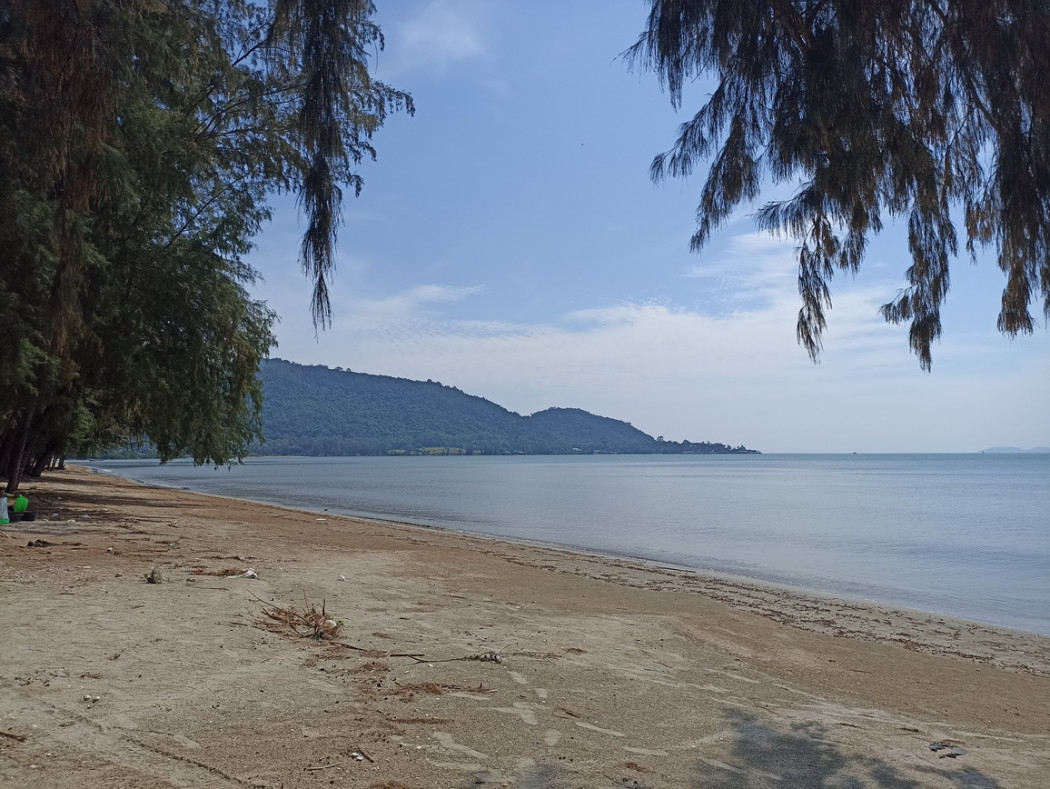 ขาย ที่ดิน ขายที่ดินริมชายหาด  - 5 ไร่ 2 งาน 19 ตร.วา รูปที่ 4