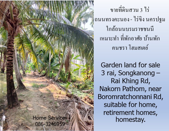ขายที่ดินสวน 3 ไร่ ถนนทรงคนอง–ไร่ขิง นครปฐม ใกล้ถนนบรมราชชนนี เหมาะทำ ที่พักอาศัย บ้านพักคนชรา โฮมสเตย์ รูปที่ 7