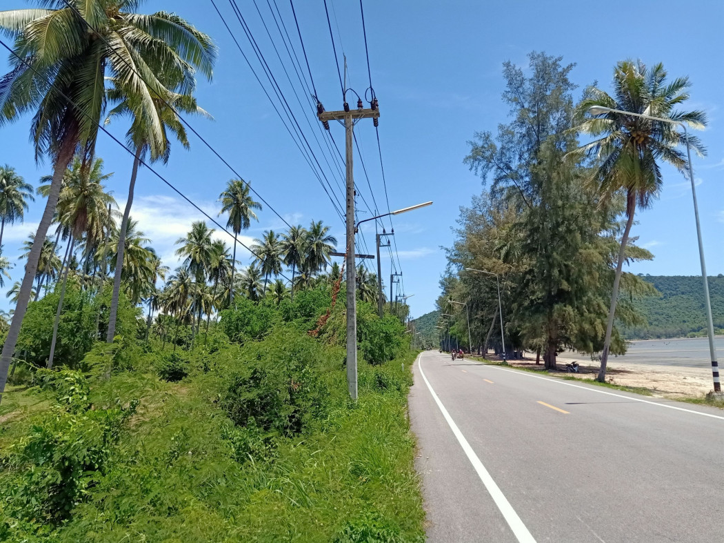 ขาย ที่ดิน ขายที่ดินริมชายหาด  - 5 ไร่ 2 งาน 19 ตร.วา รูปที่ 2