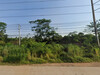 รูปย่อ ขาย ที่ดินถมแล้วติดถนนกบินทร์บุรี-ฉะเชิงเทรา กม.110 55 ไร่ 2 งาน 71 ตร.วา เหมาะทำจัดสรร รูปที่5
