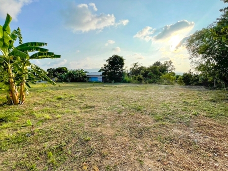 Land for rent near Koh Samui Airport, area 1 rai 24 square wah. รูปที่ 1